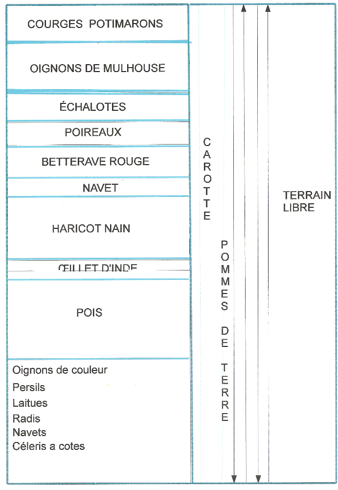 plan potager 1.png