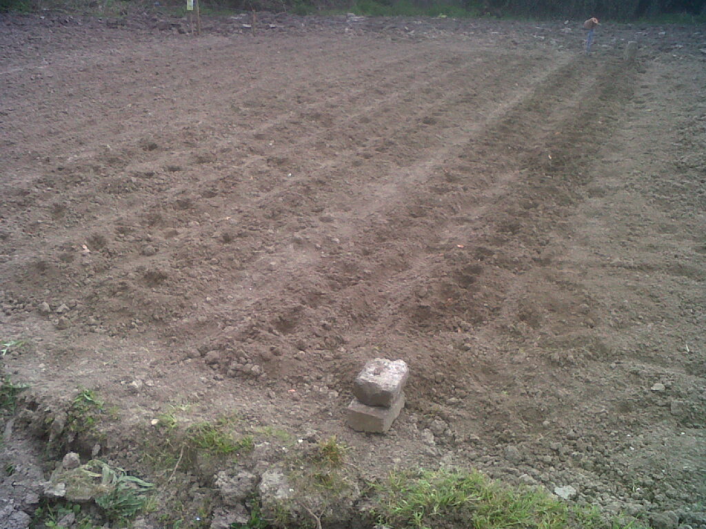 IMG01846-20170329-1336.jpg