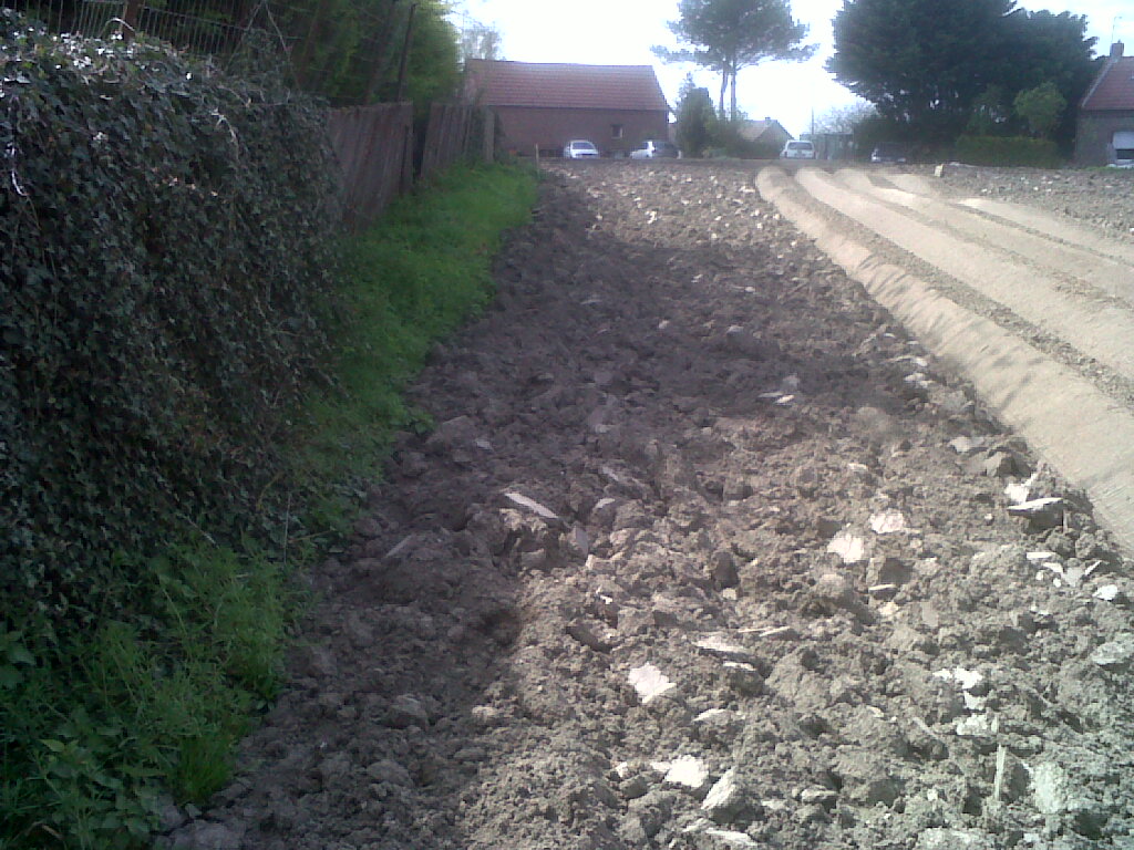 IMG01872-20170405-1416.jpg