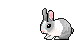 lapin :lapin: