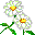 nat03 :nat03:
