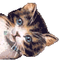 nat26 :chat3: