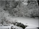 Nom du fichier=Automne2010_neige04.jpg
Taille du fichier=123Ko
Dimensions : 600x450
Ajouté le : 05 Décembre 2010 Automne2010_neige04.jpg
