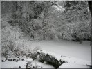 Automne2010_neige04.jpg