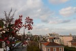 Nom du fichier=Boissiere.jpg
Taille du fichier=146Ko
Dimensions : 800x533
Ajouté le : 01 Mai 2016 Boissiere.jpg