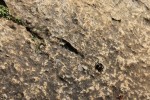 Nom du fichier=Cadart_lezards.jpg
Taille du fichier=284Ko
Dimensions : 800x533
Ajouté le : 12 Août 2015 Cadart_lezards.jpg