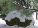 Nom du fichier=Hiver_neige_sapin_06496.jpg
Taille du fichier=34Ko
Dimensions : 400x300
Ajouté le : 24 Décembre 2005 Hiver_neige_sapin_06496.jpg
