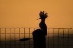 Nom du fichier=Joulot_oiseau.jpg
Taille du fichier=60Ko
Dimensions : 800x533
Ajouté le : 24 Août 2015 Joulot_oiseau.jpg