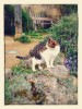 Nom du fichier=Maillault_chat.jpg
Taille du fichier=239Ko
Dimensions : 600x800
Ajouté le : 19 Juin 2015 Maillault_chat.jpg