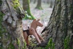 Nom du fichier=Vanmalder_cheval.jpg
Taille du fichier=164Ko
Dimensions : 800x532
Ajouté le : 26 Juin 2015 Vanmalder_cheval.jpg