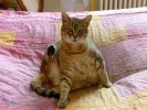 Nom du fichier=020bis.JPG
Taille du fichier=136Ko
Dimensions : 700x525
Ajouté le : 22 Avril 2014 020bis.JPG