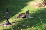 Nom du fichier=IMG_0284bis.JPG
Taille du fichier=145Ko
Dimensions : 700x467
Ajouté le : 28 Mai 2016 IMG_0284bis.JPG