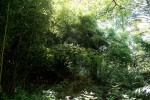 IMG_0480.JPG