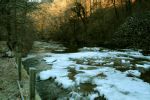 IMG_0565.jpg