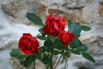 IMG_0899.JPG