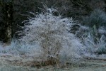 IMG_1296bis.JPG