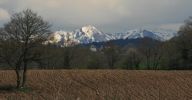 IMG_1736.jpg