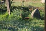 IMG_1943.jpg