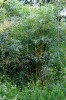 IMG_2355.jpg