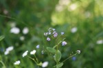 IMG_2389.JPG