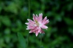 IMG_2431.JPG