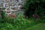 IMG_2530bis.JPG