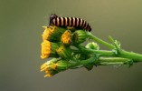 IMG_2678.jpg