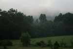 IMG_2695.jpg