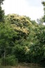 IMG_2766.jpg