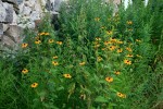 IMG_3051bis.JPG