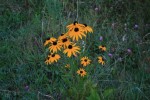 IMG_3057bis.JPG