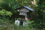 IMG_3899.jpg