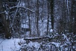 IMG_4754.jpg