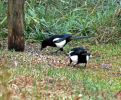 IMG_4782bis.jpg