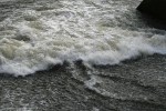 IMG_4838.jpg