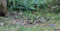 IMG_4845bis.jpg