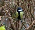 IMG_4891bis.jpg
