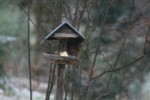 IMG_4949.jpg