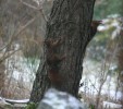 IMG_4954.jpg