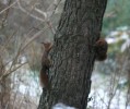 IMG_4955.jpg