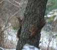 IMG_4957.jpg
