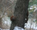 IMG_4958.jpg