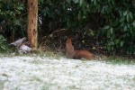 IMG_4970.jpg