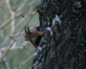 IMG_5066.jpg