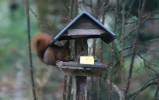 IMG_5071.jpg
