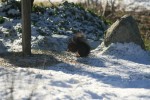 IMG_5297.jpg