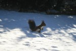 IMG_5300.jpg