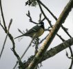 IMG_5636bis.jpg