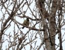 IMG_6059bis.jpg