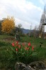 IMG_6175.jpg